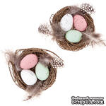 Декоративні гнізда Decorative Nests Eggs &amp; Feathers, 2 шт, dpCraft - ScrapUA.com