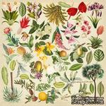 Лист с картинками для вырезания Botany exotic 30,5х30,5 см, ТМ Фабрика Декора (01108F) - ScrapUA.com