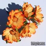 Оранжевые ромашки, 5 шт. - ScrapUA.com