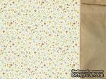Двусторонний лист скрапбумаги от Kaisercraft - Teddy Bears Picnic Collection - Cuddles, 30,5 х 30,5 см. - ScrapUA.com