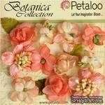 Набор объемных цветов Petaloo - Botanica Minis - Coral - ScrapUA.com