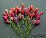 Тюльпан, цвет красный микс, диаметр - 10мм, 10 шт. - ScrapUA.com