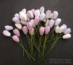 Набор тюльпанов (сиреневые и фиолетовые оттенки), 10мм, 10 шт. - ScrapUA.com