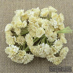 Гипсофила от Thailand - DEEP IVORY, 10 шт - ScrapUA.com