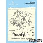 Набор штампов от Cherrylana - &quot;Thankful&quot; - ScrapUA.com